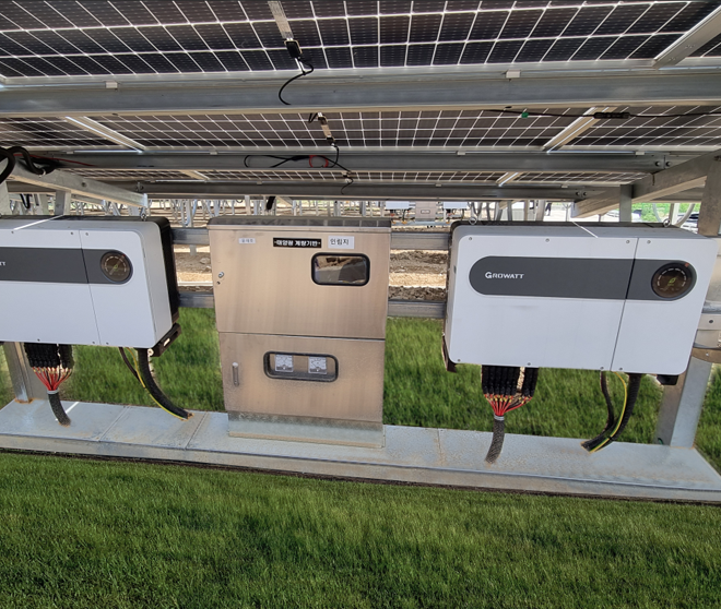 古瑞瓦特，讓貧瘠之地灑滿“綠光”